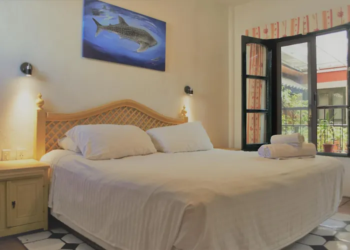 Hotel barato: Hotel Belmar